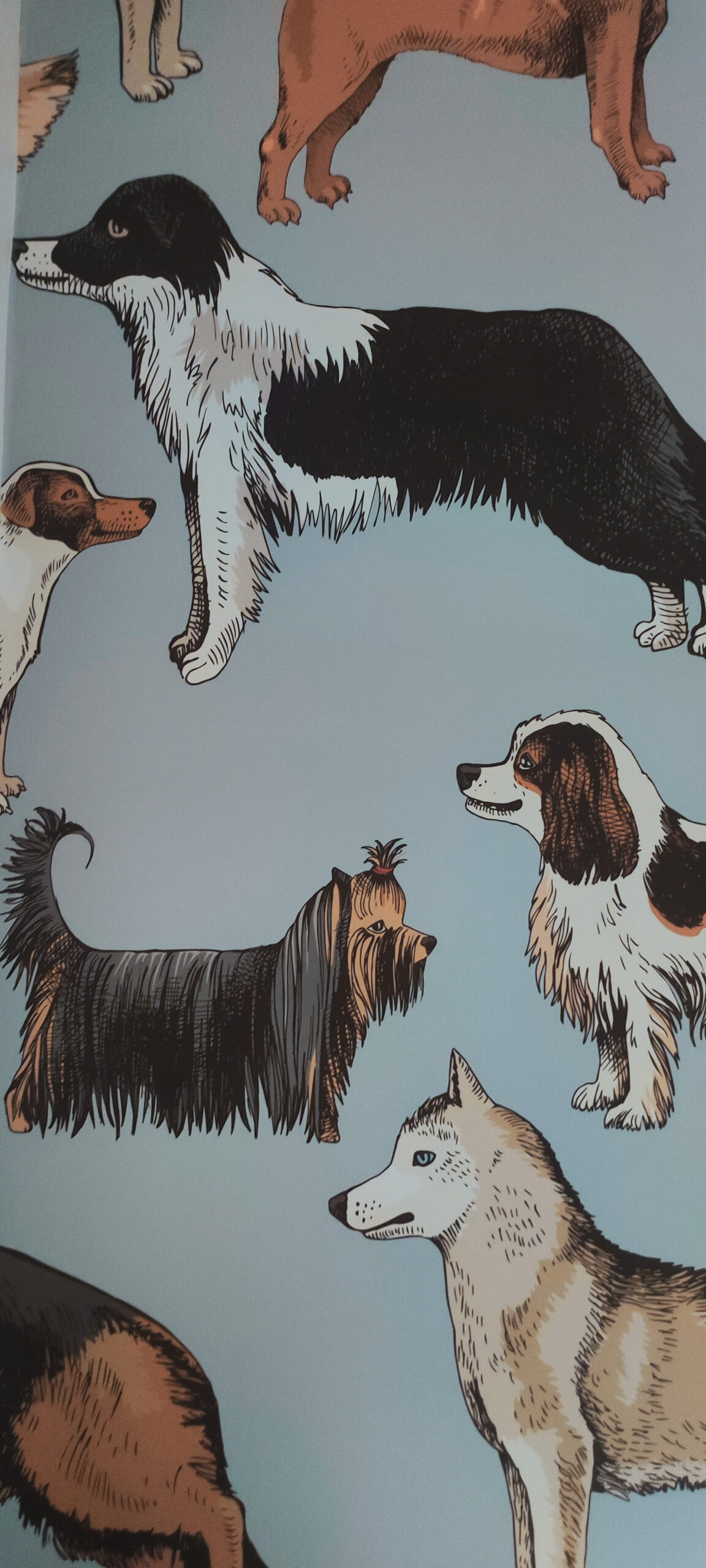 a39fcca1-8c0c-41d2-959f-0c994d100130