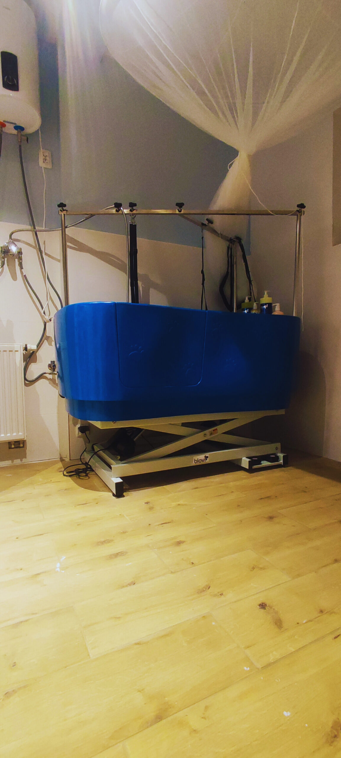 d6040350-5124-4255-a4d2-6f5322163017