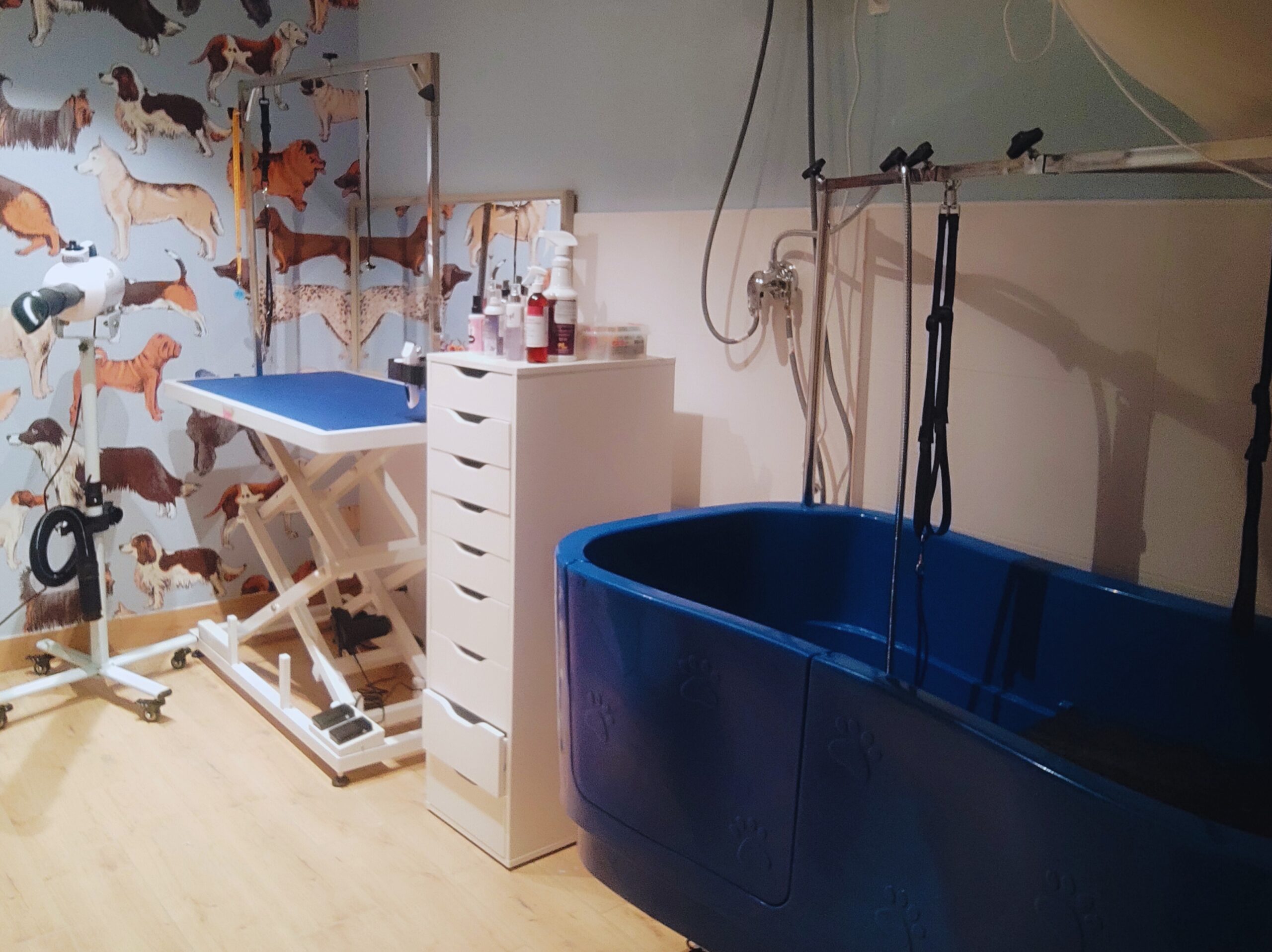 d9e3f069-50a4-4ee3-93cc-81bb7ddf5c0f