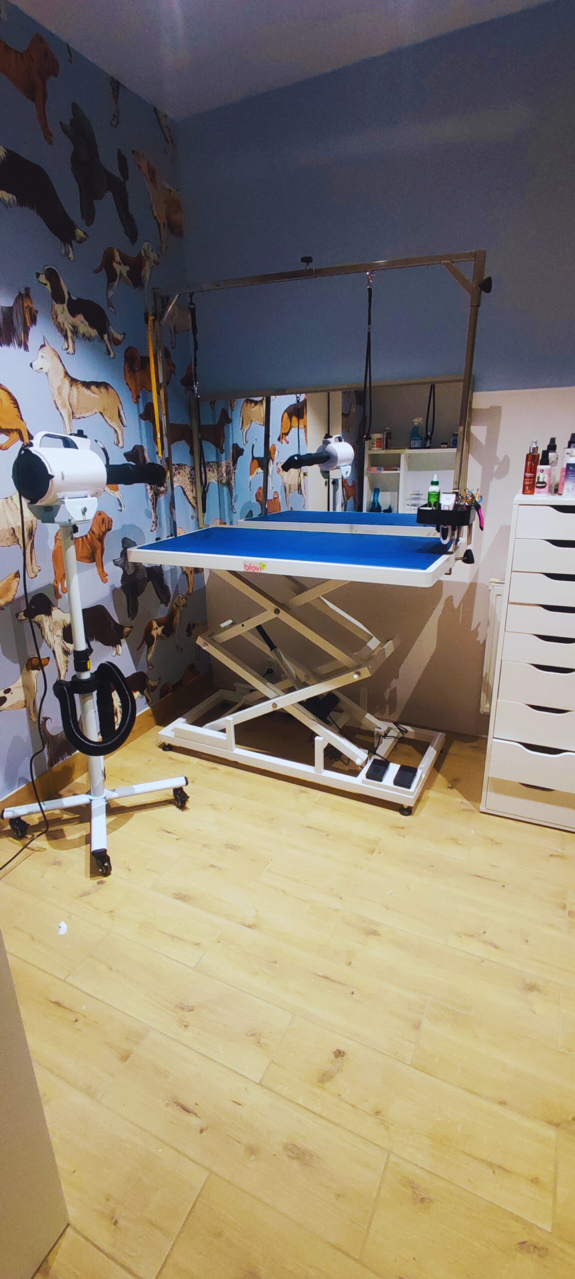 e7c77d33-4934-492c-9855-7a663926156c