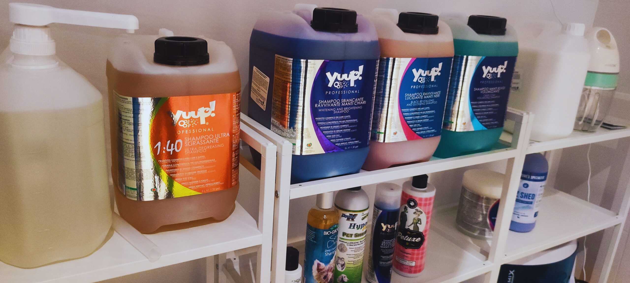 fc2b78fa-f3ee-4e5d-b51b-8b79c6e20e27